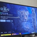 이마트24 강서하이클래스점 | 인생