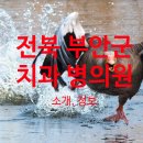 부안치과의원 네이버블로그