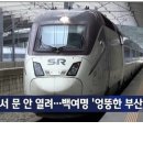 부산행 Daum카페