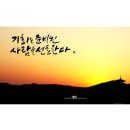 감성 글씨 캘리그라피 이미지