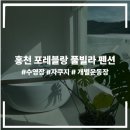 포레블랑 | 홍천 포레블랑 풀빌라 펜션 (내돈내산)