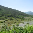 지리산다래랑민박 이미지