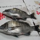 낚시인의 집 이미지