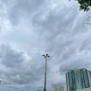 디어피피 펫푸드 앤 카페 이미지