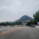 한려해물찜 | 청와대 관람 후기 예약방법 주의사항 17시 예약 비추 어머님들 모시고 청와대관람