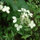 능안공원 이미지