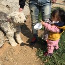 한우막사 이미지