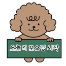 사과나무동물병원