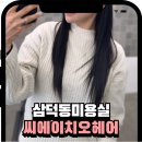 삼덕애견 | 삼덕동미용실추천 감각적인 디자인이 살아있는 씨에이치오헤어 삼덕점 후기