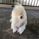 베스트탑사우나 | [뚜프리뷰] 겨울에 삿포로 갈까요..? | 삿포로 여행 정보