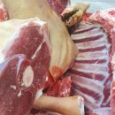 약산흑염소 이미지