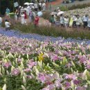 태안반도영농조합법인 이미지