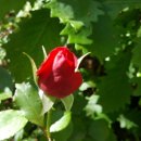 남수원중학교 이미지