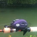 웨스턴닉
