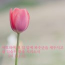 언어폭력의 종류 공유합니다~아름세상꿈꾸며.. 이미지