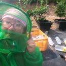 태양 양봉원 이미지