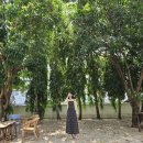 아르떼카페(ARTE CAFE) 이미지