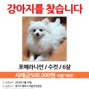 여술근린공원 Daum카페