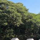 잔디게임방 이미지