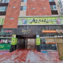 참사람태권도 이미지