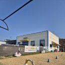 안녕 멍멍아 | 천안아산애견카페/날아라멍멍 내돈내산 후기