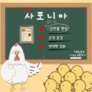 계두농장 네이버블로그