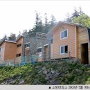 0401-0008 Daum카페