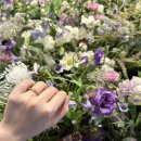 5531 | [백작바이피렌체] 소방관 신랑과 간호사 신부에게 딱맞춤인 우리의 웨딩반지˚ෆ*₊