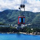 바이크 탐방로1 | 🌊 하루면 충분한 삼척 당일치기 가이드 — 동해 풍경·동굴·레일바이크·오션뷰 카페까지