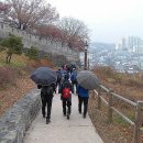 솔벗 이미지