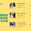 지대로 케어