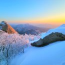 일출로2 이미지