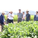 영농조합법인 대청 이미지