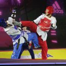 파워태권도 이미지