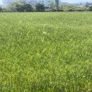 영양제분소 이미지