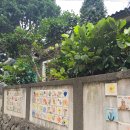 뉴-섬 게스트하우스 이미지