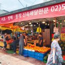 해돋이청과 이미지