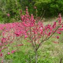 용구농장 이미지