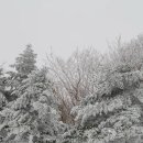 구)탐라대교차로 이미지