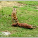 계림산장 이미지