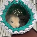 로던트클럽 강서마곡점 이미지