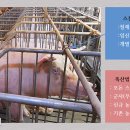153한우농장 이미지
