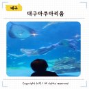 이든네이처창원중앙 | 대구 아이랑 가볼만한 곳, 실내 체험 추천 대구 아쿠아리움 후기