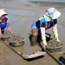 여기바다A 이미지