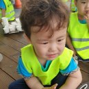 하모니농장 Daum카페