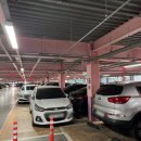 경주곰장어 | 울산 옥교동 맛집 중앙시장 곰장어골목 중앙곰장어 볶음밥