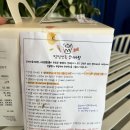 멍멍앤쿡 | 강아지입체케이크 은평구 역촌동 ‘멍멍앤쿡’ 에서 강아지케이크 맞춘 후기