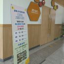 꿀벌체험장 | 대구 근교/경북 실내 무료로 가볼만한 곳, 칠곡 꿀벌나라테마공원 18개월 아이와 함께 방문