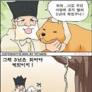 서당개 이미지