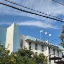 샛골로 | 오리발을 사야 한다 무엇을 살까 ⁉️